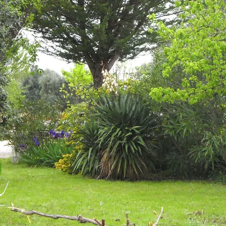 Casa vacanze Lovely Cottage in Cisternino Amidst Olive Groves *