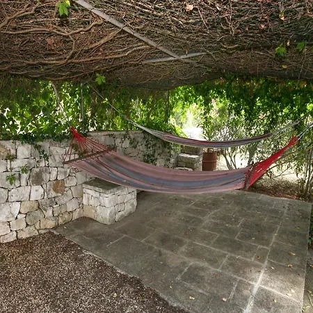 In With Garden & Bbq Tatil Evi *